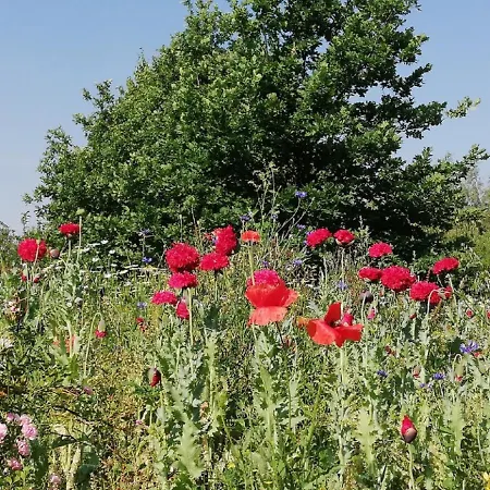 Agroturystyka Dom Pracy Tworczej Farm stay